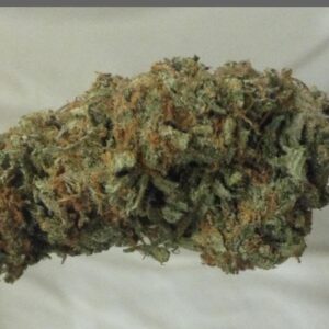 Magic Dragon