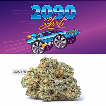 2090 Shit