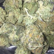 Animal Cookies