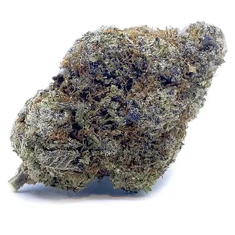 Blue Biscotti