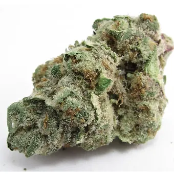 Dawg Breath