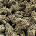 Watermelon Zkittlez