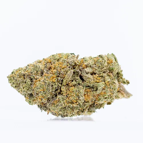 White Tahoe Flower