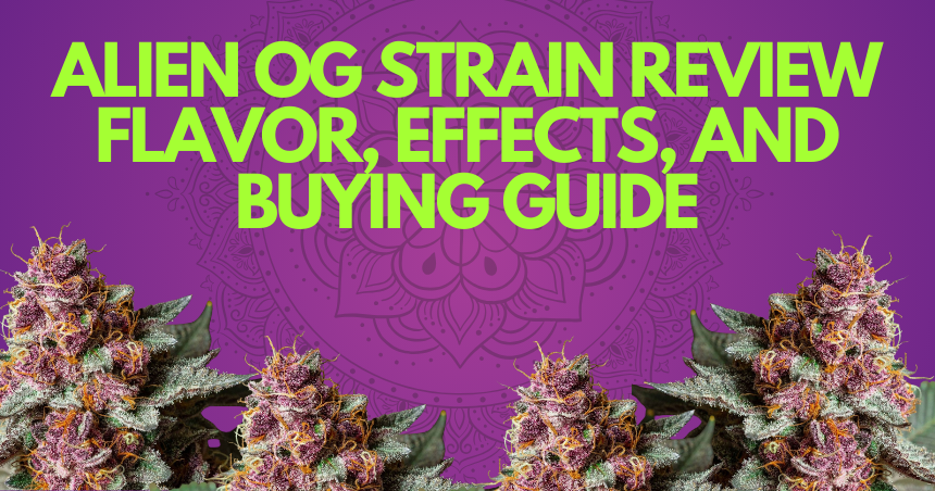 Alien OG Strain Review