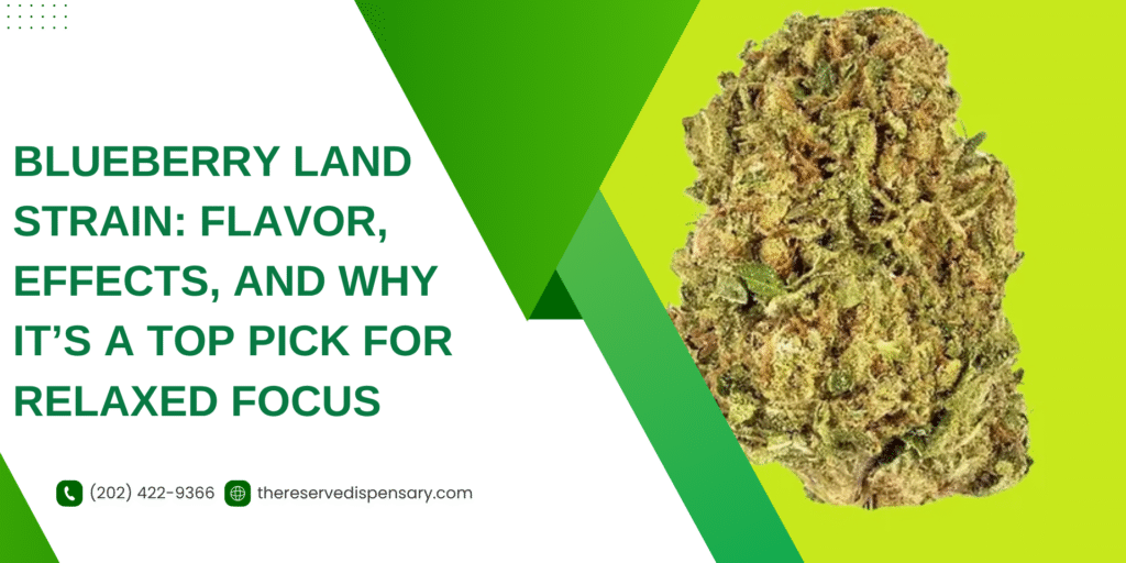 Blueberry Land - TheReserveDC Dispensary